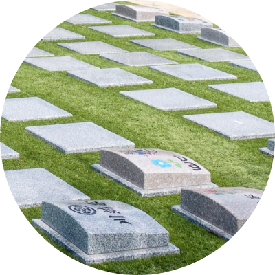 樹木葬に移るための墓じまい