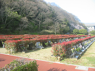 横須賀市営公園墓地(令和5年度普通墓地の使用者募集申込は終了)